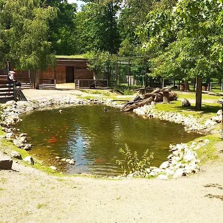 Apartmán v dřevěném domě